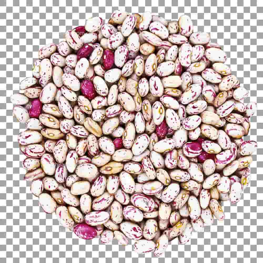 تصویر 4 از لوبیا چیتی نرم خوشپخت سنتی